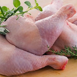 Venta al por mayor de muslos de pollo halal congelados de primera calidad, muslos de pollo halal congelados limpios en oferta - Product Image 1