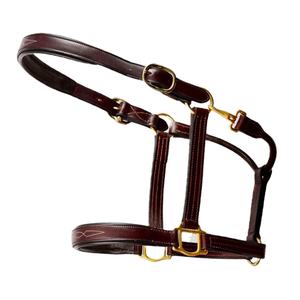 Licou en cuir de cheval personnalisé de haute qualité avec un design rembourré doux - Product Image 6