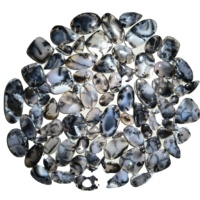 Cabochons en Agate Dendritique Naturelle Certifiée par des Tiers de Haute Qualité, Formes Mixtes, 20-45mm, 8-12g, Pierres Précieuses pour Bijoux