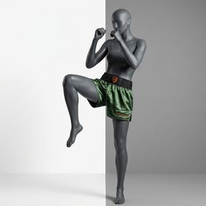 Services OEM, shorts de Muay Thai de qualité supérieure, vêtements d'arts martiaux respirants, qualité supérieure, logo brodé, shorts de combat de boxe - Product Image 4