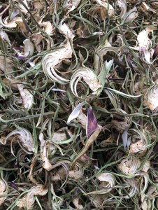 Alcachofa Natural en Flor Seca con Empaque Personalizado de Vietnam, Ingrediente Vegetal para Té de Alcachofa, Mejor Precio al por Mayor para Marcas - Product Image 6