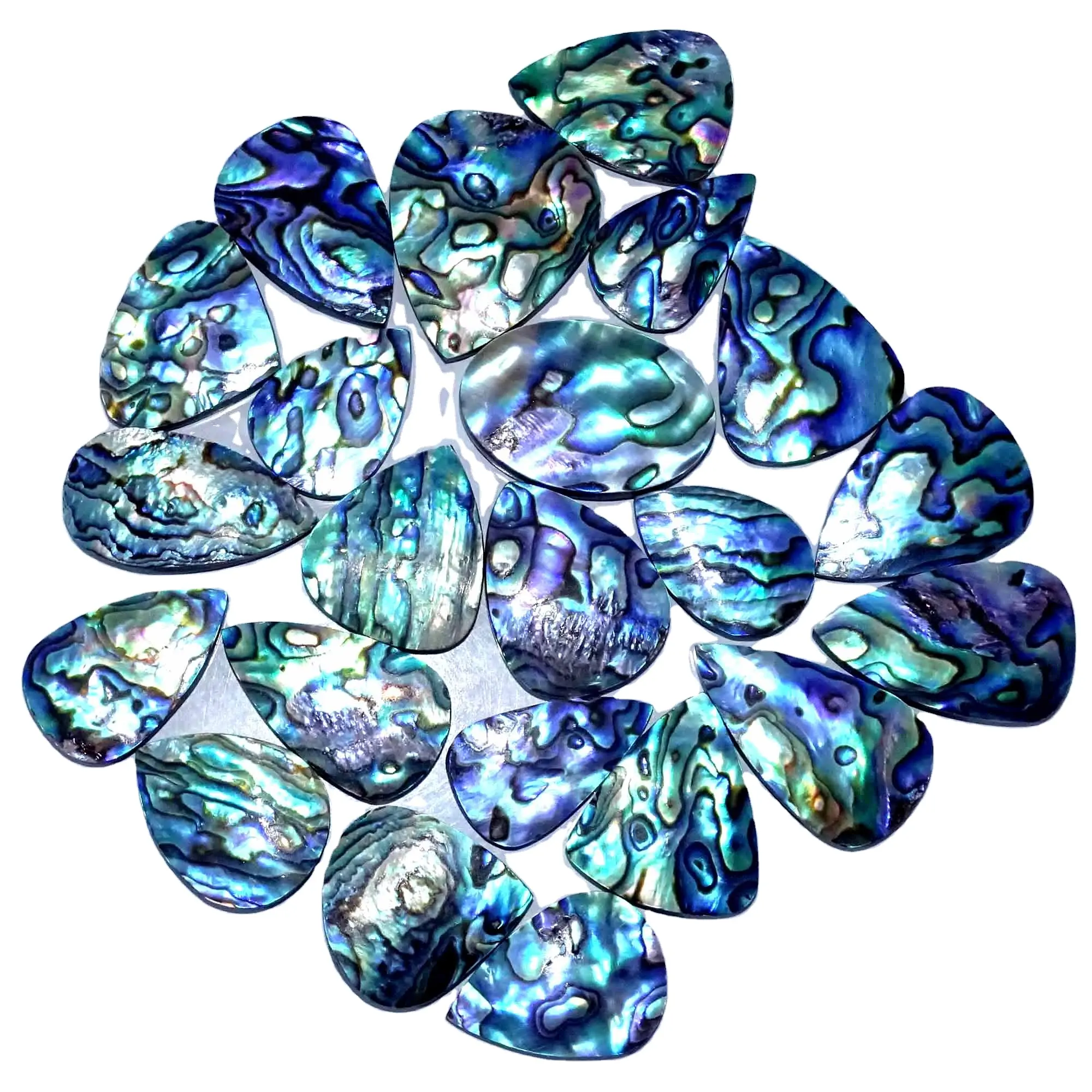 Natural Paua Abalone concha mão polonês pedra solta de alta qualidade joias fazendo lote por atacado
