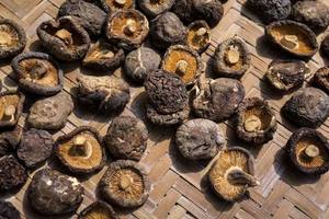 Hongos Shiitake Silvestres Secos a Granel de Alta Calidad, Fibra Dietética Natural, Superalimento, Loto Azul Marrón, 12 Meses de Duración, Ho Chi Minh - Product Image 5