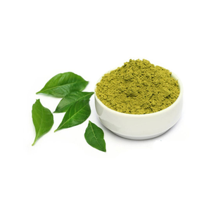 Fournisseur en gros de poudre de feuilles de curry 100% naturelle et pure de qualité alimentaire pour le soutien de la santé - Product Image 6