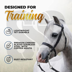 Mors espagnols de haute qualité résistants à la rouille avec incrustations en cuivre, mors pour chevaux en acier inoxydable, nouveau produit tendance à prix de gros - Product Image 2