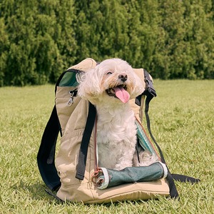 [CAMDOG] Nesta Pet Carrier <b>Backpack</b> Waterproof Outdoor Pet Luggage 3-Way Ventilation YKK Zipper - Product Image 2