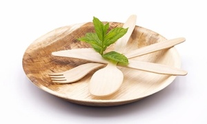 Cuillères jetables élégantes 155 mm en bois de bouleau de qualité supérieure pour fêtes, hôtels et services de restauration, lot de 25, pour traiteur et plats à emporter - Product Image 1