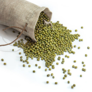 Frijoles Verdes Orgánicos de la India en Empaque a Granel para Tiendas de Comestibles Internacionales y Suministro al por Mayor - Product Image 3
