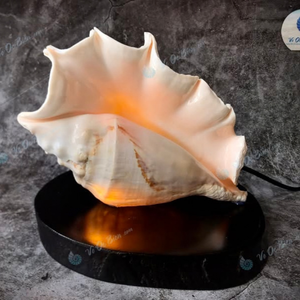 Lámpara de Noche de Conchas Marinas Seleccionadas a Mano, Origen Vietnam, para Proyectos de Arte Creativo, Mejora la Decoración del Escritorio de Oficina, 99 Gold Data - Product Image 6