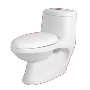 WC mural en céramique écologique monobloc européen avec système de chasse d'eau Cyclone au meilleur prix EWC - Product Image 6