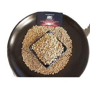 Coriandre sèche entière Eagle Coriandre d'aigle de qualité supérieure chez le fournisseur en gros de l'Inde à un prix bon marché - Product Image 1