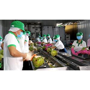 Agua de coco OEM ODM Etiqueta privada Fabricante de bebidas Formulación personalizada Fábrica de Vietnam Botella PET de 350ml 24 botellas Cartón - Product Image 5