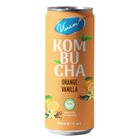 Tren Terbaru OEM ODM Label Pribadi 250ml/330ml Jus Buah Rasa Alami Mangga Kombucha Jeruk Vanila Puree Kaleng (Dalam Kemasan Kaleng)