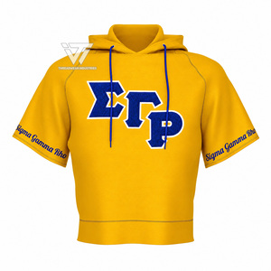Vêtements de sororité grecque Sigma Gamma Rho en gros, chemise courte à capuche brodée en chenille, accessoires grecs - Product Image 1