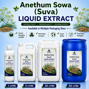 Anethum Sowa Suva Liquid Extract Natural <b>Herbal</b> <b>Supplement</b> Food Grade Export Packaging Custom Bulk Supply - Product Image 1