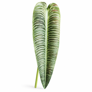 Planta Artificial Petefloral, Hoja Tropical Gigante, Impermeable, de Plástico, Forma de Corazón Verde Grande, para Decoración del Hogar Durante Todo el Año - Product Image 4