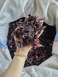 Flor de Hibisco Seca Natural Premium para Té de Hierbas, Calyx de Rosella Entero, Alto en Vitamina C, Grado Alimenticio, Suministro a Granel, Venta al por Mayor, Vietnam - Product Image 5