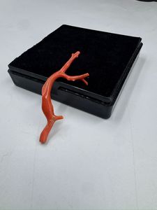 ลูกปัดปะการังแดงอิตาลีรูปทรงกิ่งไม้ พลอยดิบสำหรับทำเครื่องประดับ ปะการังอิตาลีรูปทรงต้นไม้ - Product Image 3