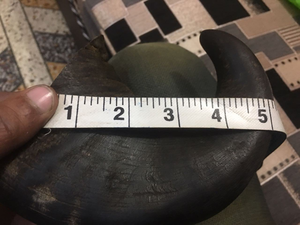 Corne de bufflonne d'eau pour chien, corne d'agneau, fabriquée en Inde, meilleure qualité - Product Image 4