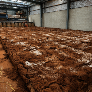 Bloc de fibre de coco (Coir) 5KG à faible EC, 100% Néem pressé à froid pour la nutrition du sol et des plantes - Product Image 5