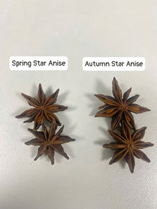 Oferta al por Mayor, Precio Económico, Anís Estrellado Fragante de Estándar Internacional, Empaque a Granel - Product Image 5