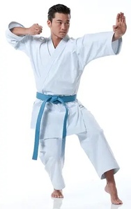 Trajes de Karate de Alta Calidad para Adultos, Manga Larga, Servicio OEM, Ropa de Artes Marciales, 100% Algodón, del Mejor Proveedor - Product Image 3
