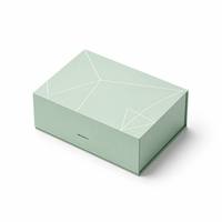Boîte cadeau magnétique pliable vert clair personnalisée, design géométrique de luxe, boîte d'expédition pliable pour emballage cadeau de luxe