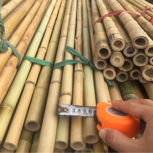 Vente en gros de poteaux en bambou bruts durables de grande taille pour la construction au Vietnam, bambou de haute qualité, longueur de 2 à 20 m, diamètre de 1 à 5 pouces, de bonne qualité - Product Image 1