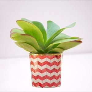 Jardinière en métal avec incrustation de os, faite à la main, de forme ronde, style minimaliste, pour la décoration de la maison, produit de luxe, exportations en gros - Product Image 5