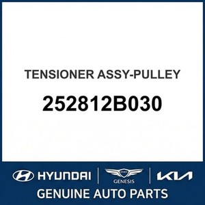 Repuestos y Accesorios para Autos y Camiones Soul New Other 252812B030 - Product Image 1