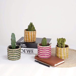 Small Plant Holder Colorful Blue Yellow Green Pot <b>Planter</b> Covers <b>for</b> Cactus Succulent Plants - Product Image 3