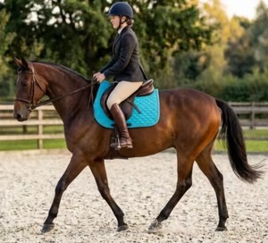 Customized <b>Top</b>-Quality <b>Horse</b> Ridding 100% Cotton Satin Saddle Pads Foam Saddle Pads for <b>Horse</b> <b>Riding</b> - Product Image 5