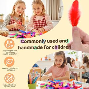 1600 Pezzi di Piume di Gallo Colorate da 3-5 Pollici, Forniture per Artigianato per Asili Nido, Progetti Fai-da-Te, Decorazioni per Matrimoni e Feste Familiari - Product Image 3