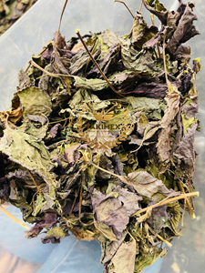 Takimex เวียดนามสมุนไพรแห้งธรรมชาติ100% คุณภาพสูงใบชิโซะใบแห้งสีม่วงสำหรับทำชา - Product Image 3