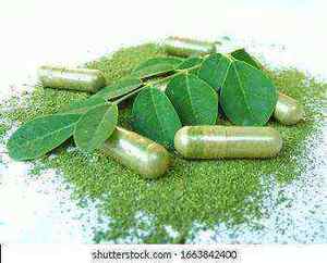 Capsules de poudre de feuilles de Moringa avancées 0,5g 120 unités, qualité alimentaire, extraits naturels de solvants, qualité supérieure, à base de plantes, en flacon - Product Image 2