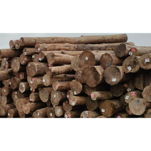 Troncos de Madera Blanda de Alta Calidad, Postes de Madera Resistentes, Ideales para Estacas de Jardín, Postes de Alumbrado y Proyectos de Construcción - Product Image 6