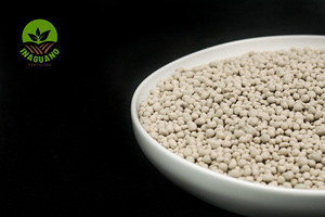 Fertilizante de dolomita de primera calidad para suministro agrícola a granel - Product Image 6