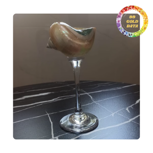 Coupe à cocktail unique en forme de coquillage pour la décoration d'événements, les mariages et le marché de la vente en gros - Product Image 3