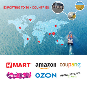 กระดาษข้าวเวียดนาม – ผู้ผลิตโดยตรงจากโรงงาน ได้รับการรับรอง FSSC, HALAL, ISO, HACCP ผู้เชี่ยวชาญด้านการส่งออก - Product Image 6