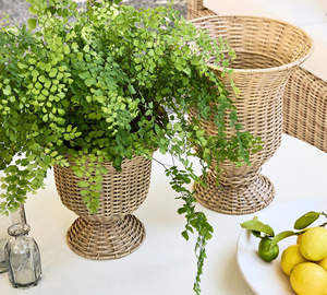 Selección Vintage, Florero de Ratán Hecho a Mano al por Mayor, Urna Decorativa de Mimbre para Hoteles de Lujo y Decoración de Eventos - Product Image 4