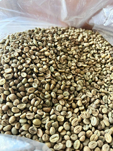 เมล็ดกาแฟอาราบิก้าออร์แกนิคสีเขียว ขนาด 16  แหล่งผลิตเวียดนาม เกรด 2 สำหรับแปรรูปอาหาร พรีเมียม ผลิตภัณฑ์เกษตรปลอดจีเอ็มโอ ขายส่ง - Product Image 2