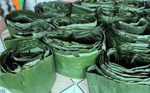 Hojas de Plátano Congeladas de Vietnam, Frescas de Fábrica, Hojas Verdes Naturales para Envolver Alimentos, Cocinar y Exportar - Product Image 6