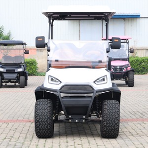 Coche Eléctrico Profesional Chino de 2 Plazas y 4 Ruedas G/F C/TS, Pequeño, Económico, en Venta - Product Image 2