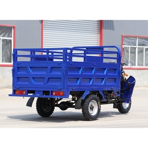 Triciclo a Motore a Tre Ruote per Trasporto Agricolo, Veicolo a Tre Ruote Alimentato a Carburante, Triciclo a Benzina 200cc - Product Image 6
