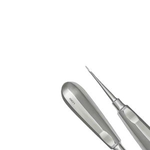 Elevador de Raíces Manual de Precisión, Instrumento de Acero Inoxidable para Extracción, Precio Económico al por Mayor con Personalización - Product Image 5