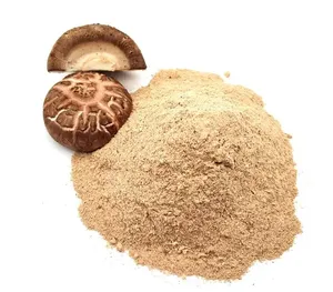 Poudre de Champignons Shiitake Haute Concentration en Gros pour OEM – Superaliment Naturel pour le Soutien Immunitaire – Fournisseur en Vrac - Product Image 3