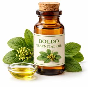 Huile Essentielle de Boldo de Haute Qualité, Extrait Pur à Base de Plantes pour l'Aromathérapie, le Massage et l'Usage Cosmétique – Approvisionnement en Gros Direct du Fabricant - Product Image 1