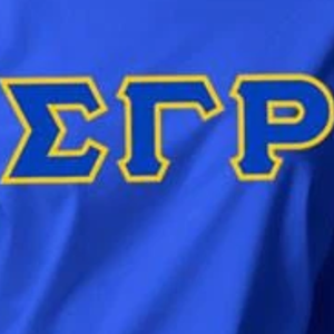 เสื้อยืดแขนยาวพิมพ์ลายตัวอักษร Sigma Gamma Rho สำหรับผู้หญิง เสื้อยืดคอกลมสไตล์กรีก สำหรับชมรมนักศึกษา  เสื้อผ้าลำลองแนวสตรีทแวร์  รับทำโลโก้ตามสั่ง ขายส่ง - Product Image 4
