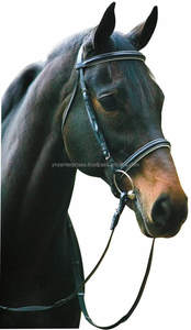 Halter de caballo de cuero genuino Y & Z, accesorios de nailon occidental de alta calidad, precio de venta completo disponible, cuerda ecuestre - Product Image 6