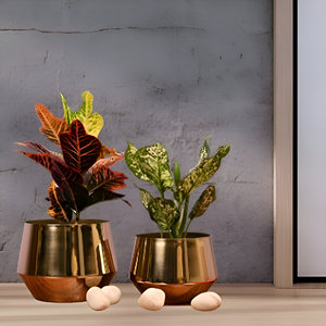 Vente chaude Métal Or Brillant Polonais 2 Pièces Jardinière Ensemble Pour Restaurant Hôtel Maison à Bas Prix - Product Image 6